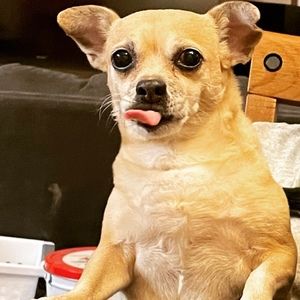 Meet your Posher, Gregory